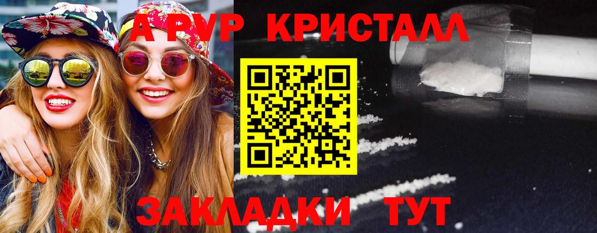 A PVP СК КРИС Кингисепп