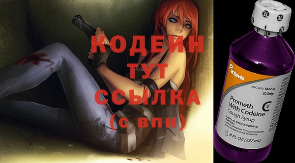 дживик Переславль-Залесский