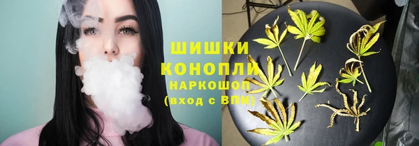 прущий лед Пересвет