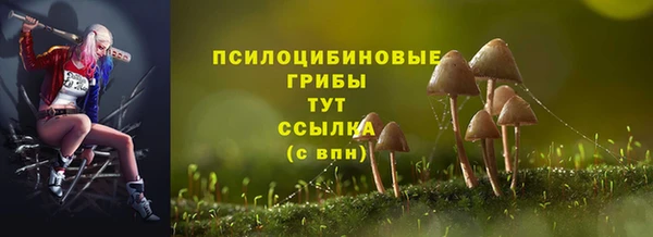 дживик Переславль-Залесский