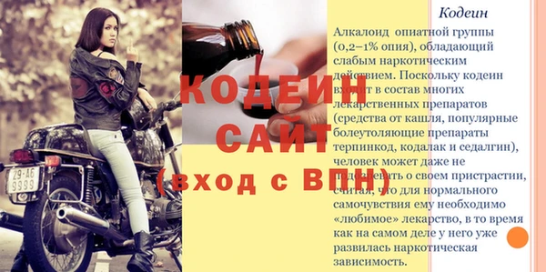 прущий лед Пересвет