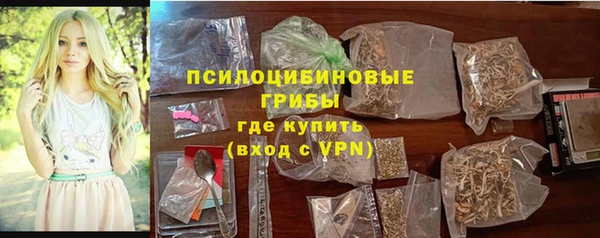 прущая мука Осташков