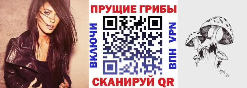 ссылка на мегу сайт  Кингисепп  shop официальный сайт  Псилоцибиновые грибы ЛСД 