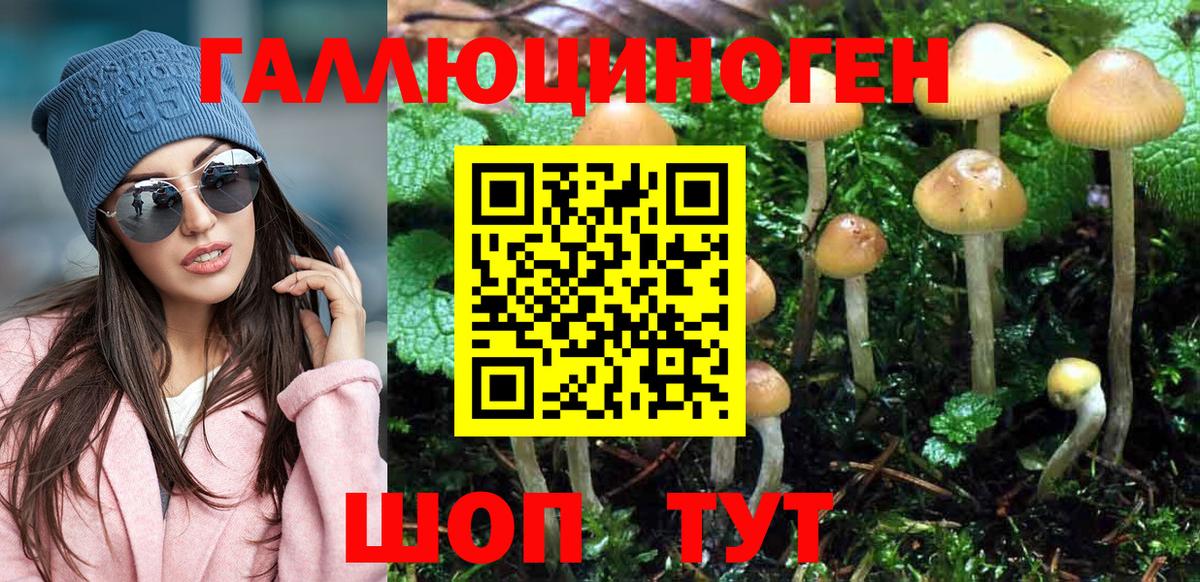 Галлюциногенные грибы мухоморы Кингисепп