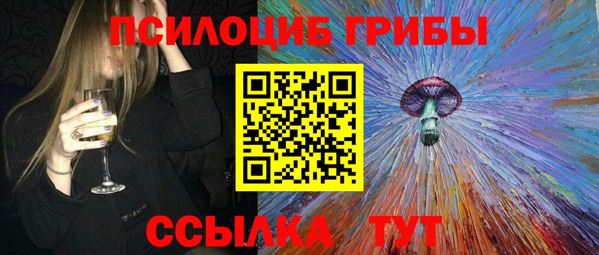 наркошоп  Вход с VPN  Псилоцибиновые грибы Cubensis  Кингисепп  Псилоцибиновые грибы прущие грибы 
