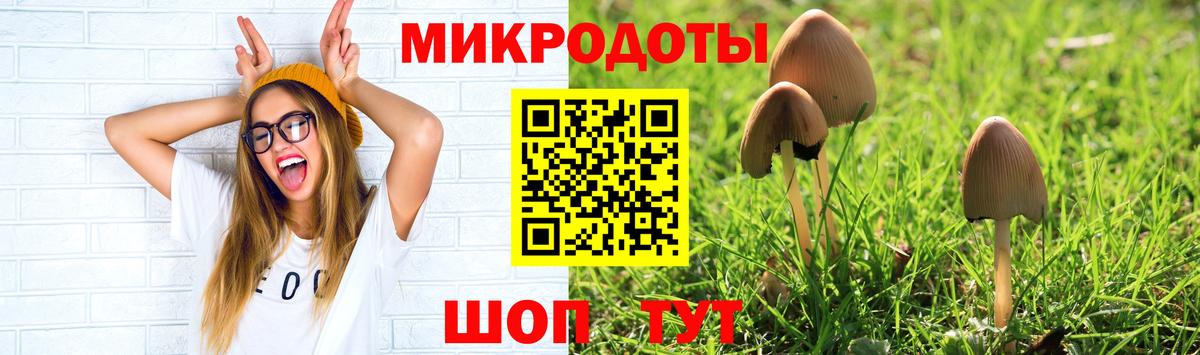 цена   Кингисепп  Галлюциногенные грибы мицелий 