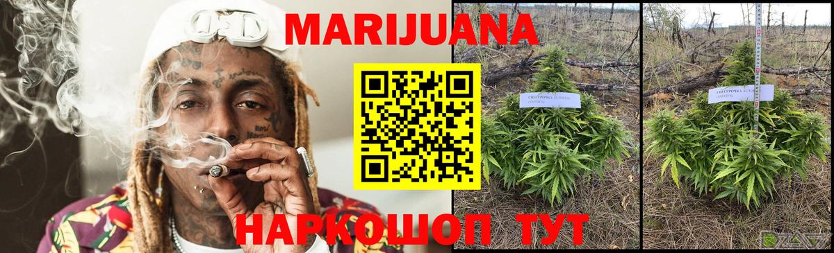 Марихуана конопля  Шишки марихуана Bruce Banner  Конопля гибрид  Канабис Bruce Banner  Кингисепп 