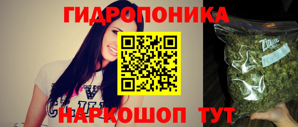 Шишки марихуана гибрид Кингисепп